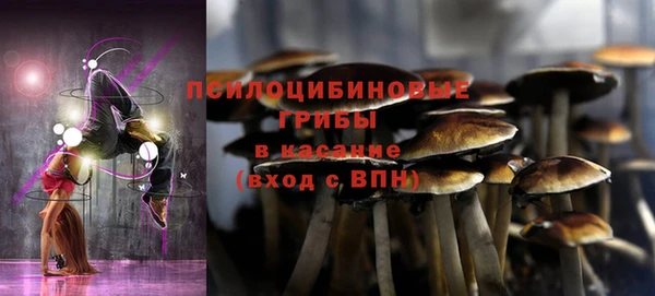 тгк Зеленодольск