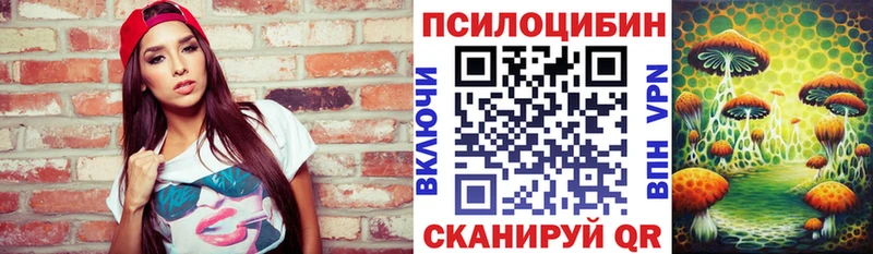 цена наркотик  Сковородино  Псилоцибиновые грибы Psilocybe 